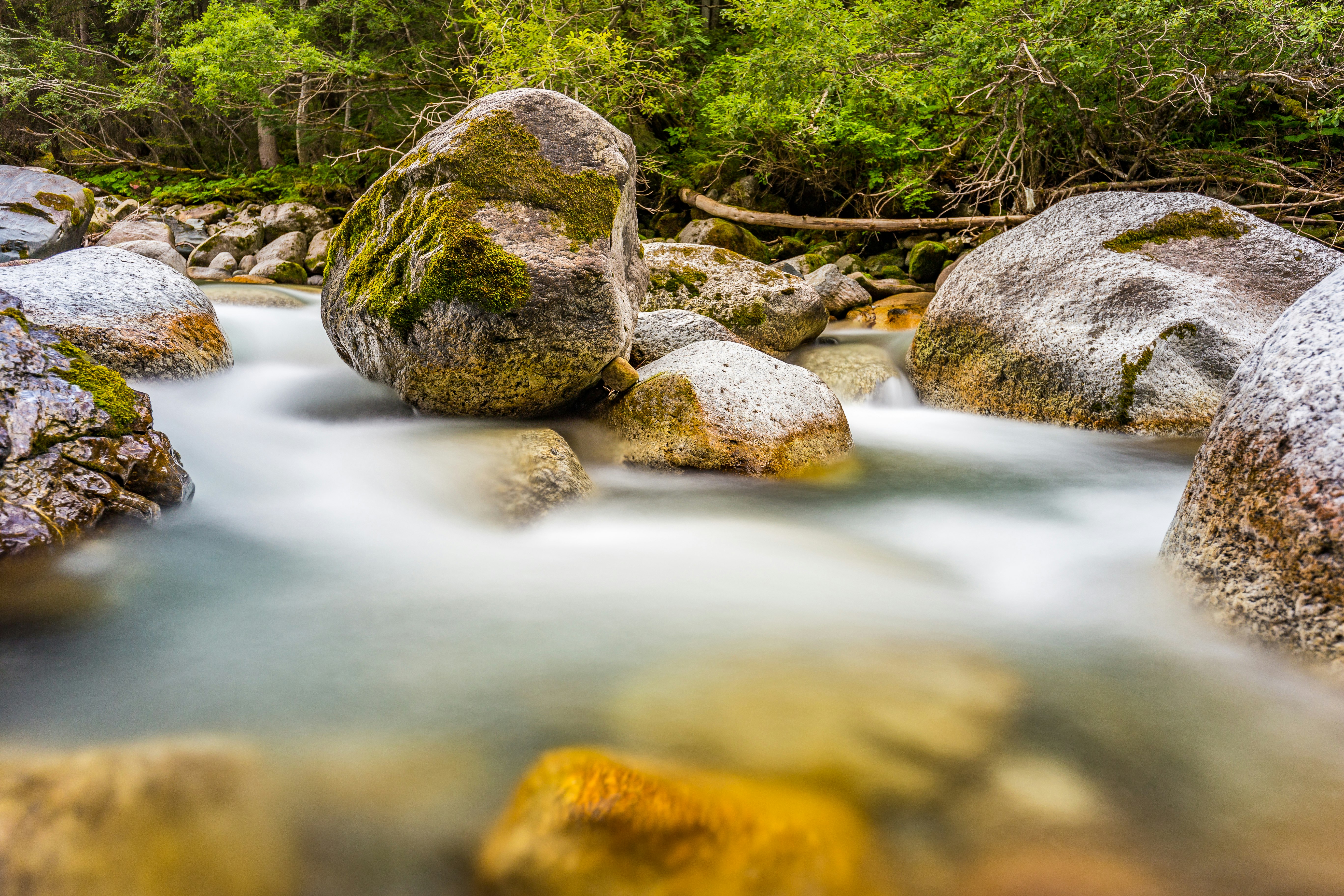 long exposure photography of water stream
